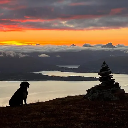 Charming Historic Your Ideal Getaway *